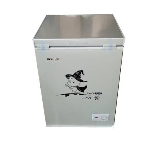 Snowsea Chest Freezer BD-158L - Image 2